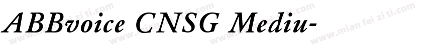 ABBvoice CNSG Mediu字体转换